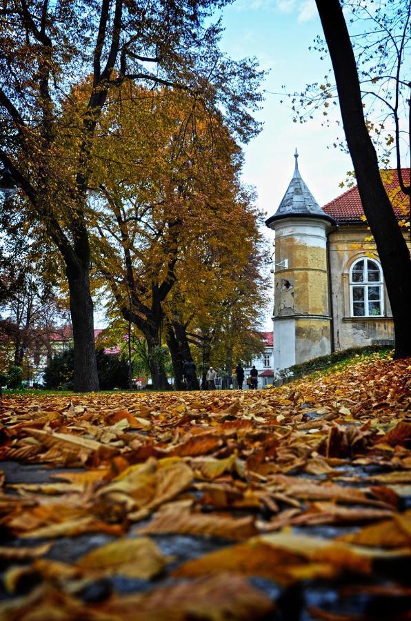 Apartamenty Centrum Andrychow Bagian luar foto
